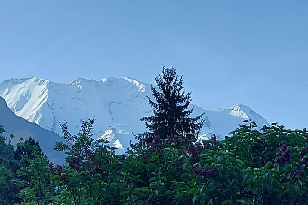 Appartement Dans Chalet - 75 M2 - 4 A 6 Personnes Saint-Gervais-les-Bains Exteriér fotografie